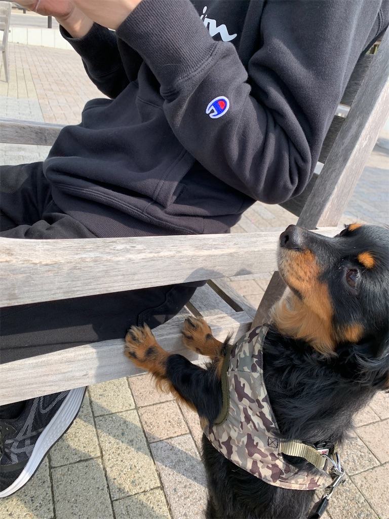 f:id:goukakuigakubu:20220408102104j:image
