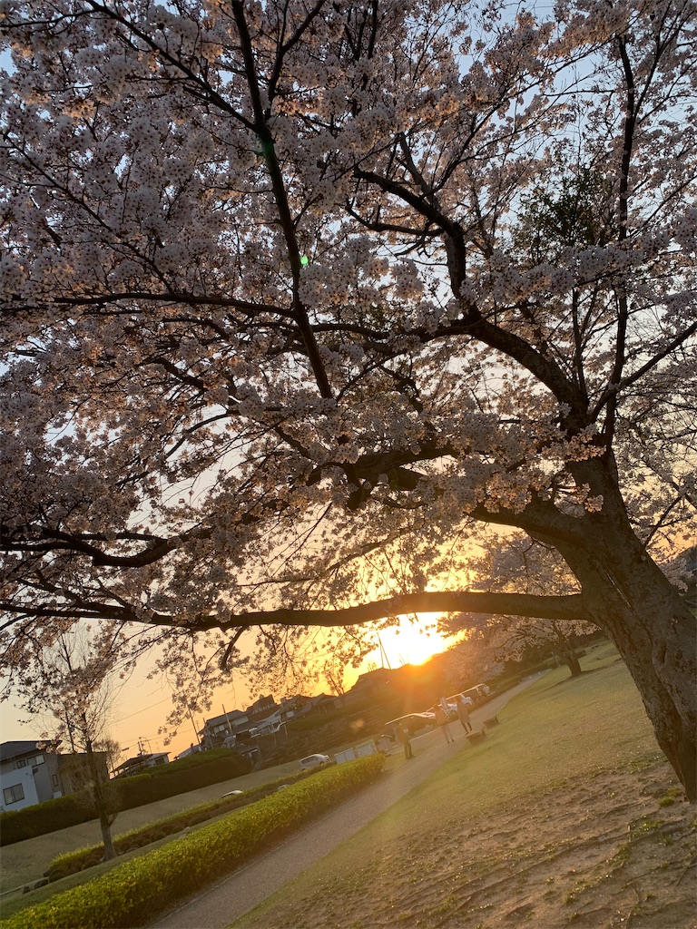 f:id:goukakuigakubu:20220409092536j:image