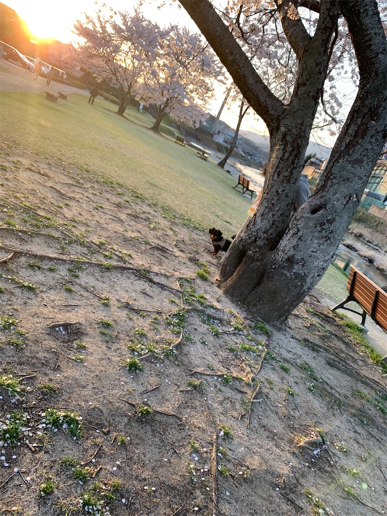 f:id:goukakuigakubu:20220409092538j:image