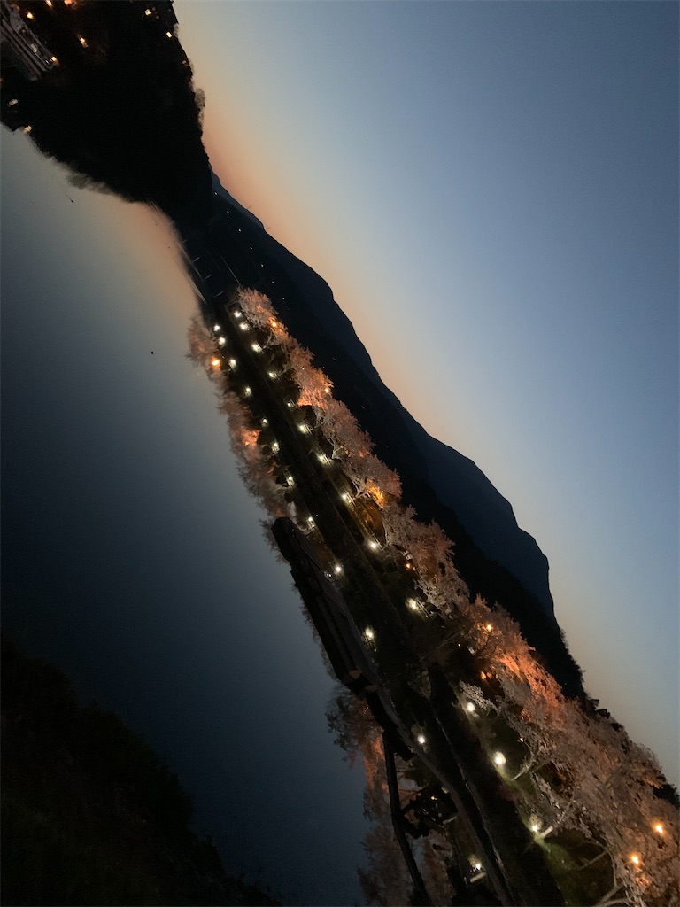 f:id:goukakuigakubu:20220410150237j:image