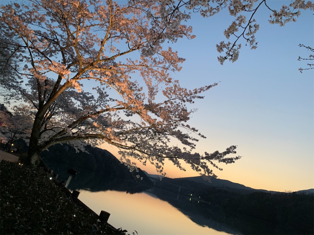f:id:goukakuigakubu:20220410150240j:image