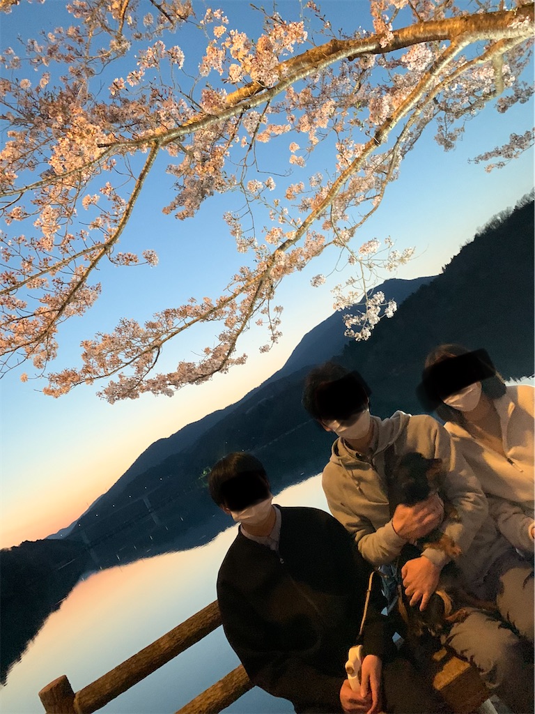 f:id:goukakuigakubu:20220410150733j:image