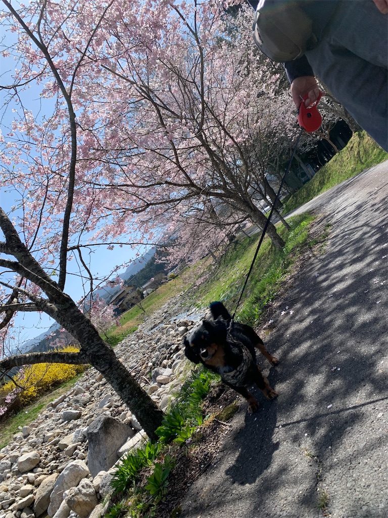 f:id:goukakuigakubu:20220411120547j:image