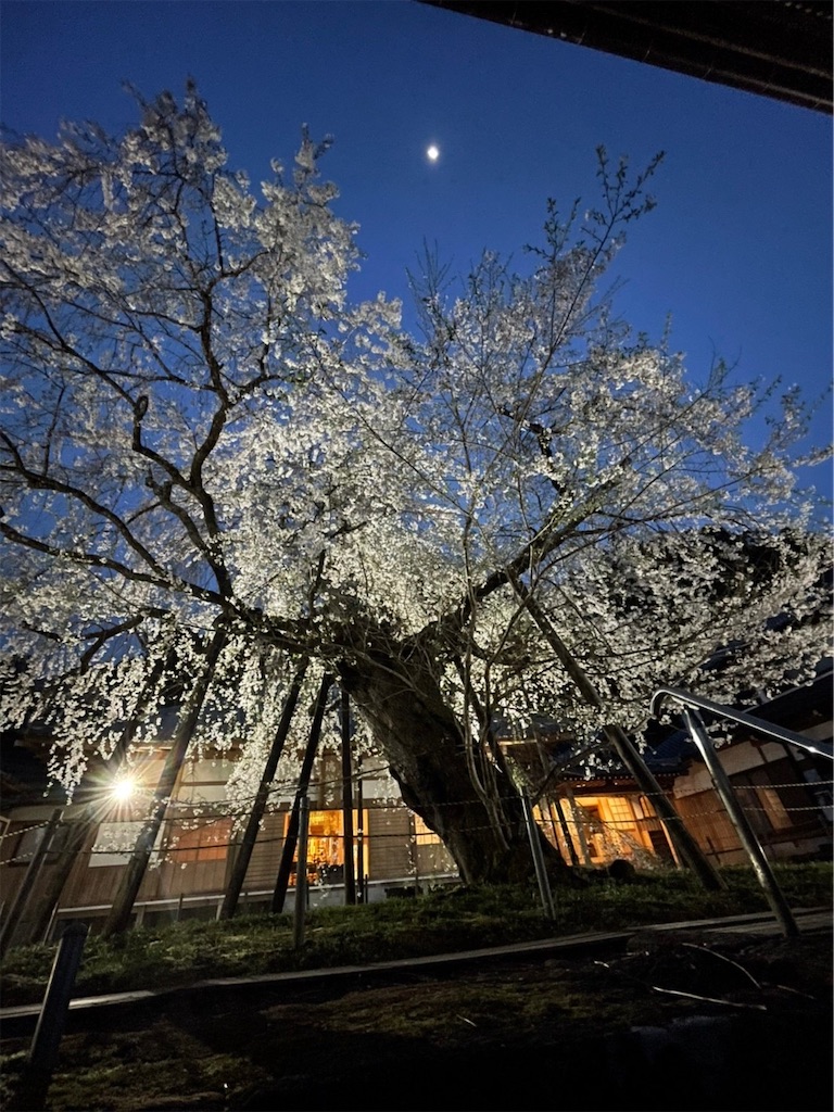 f:id:goukakuigakubu:20220413132946j:image
