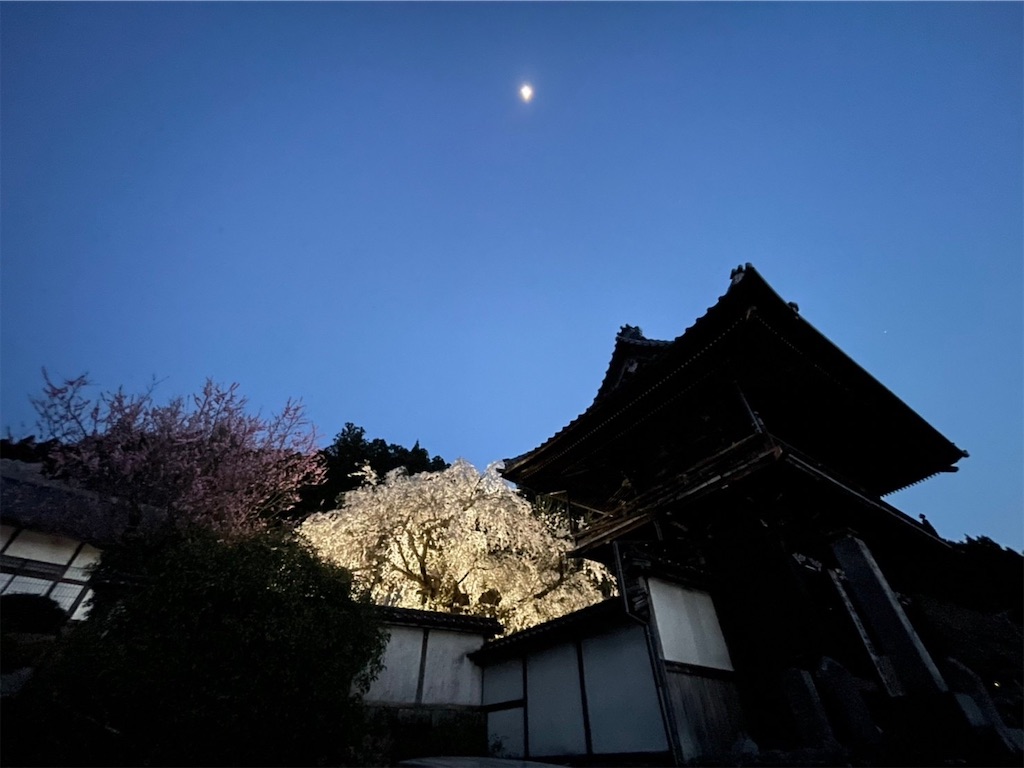 f:id:goukakuigakubu:20220413133125j:image