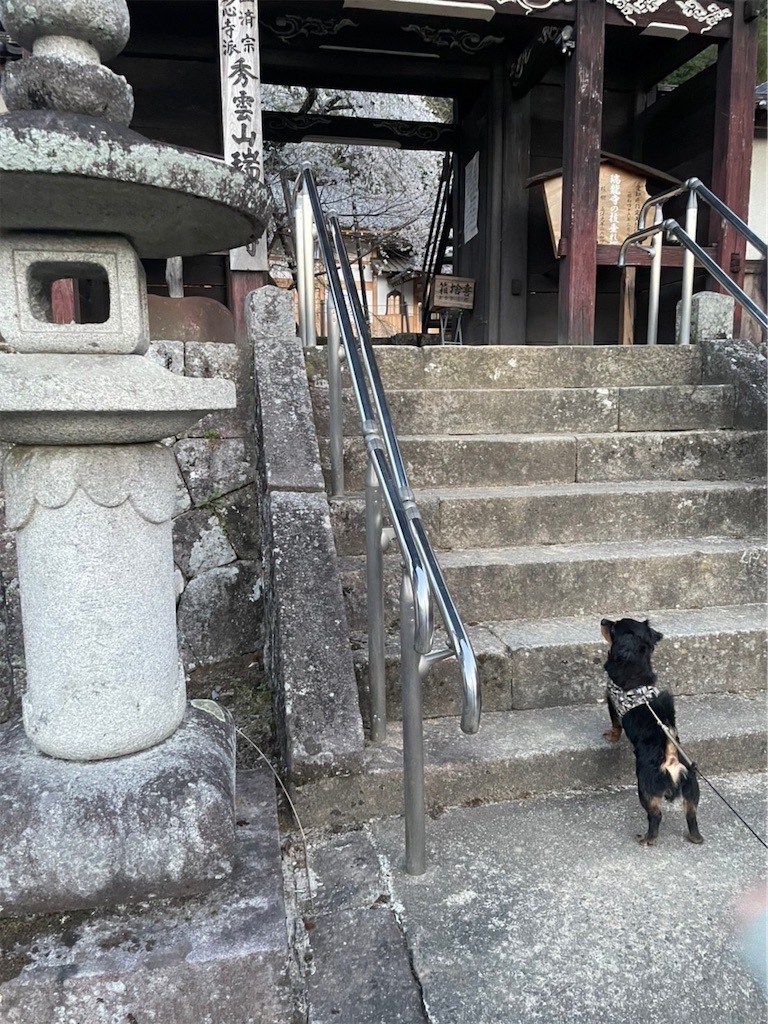 f:id:goukakuigakubu:20220413134458j:image