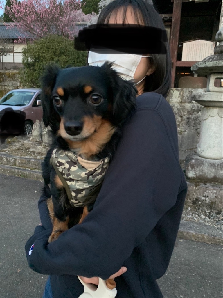 f:id:goukakuigakubu:20220414110322j:image
