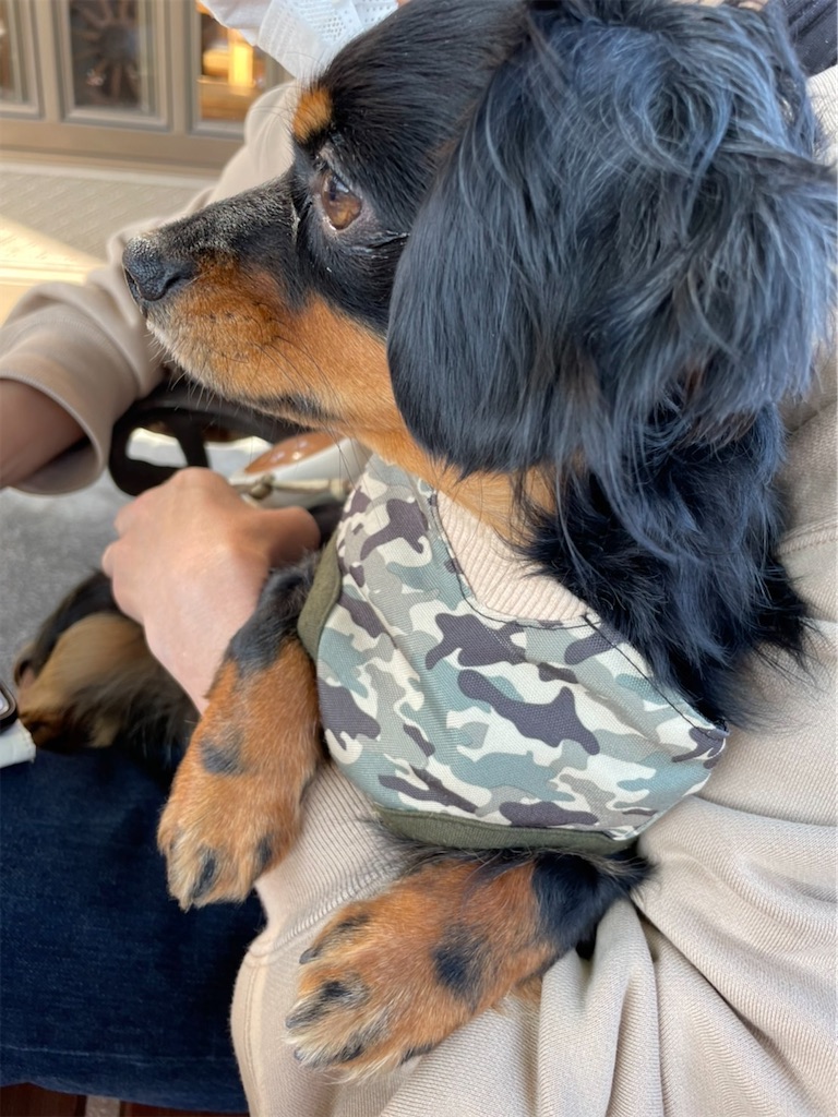 f:id:goukakuigakubu:20220414110325j:image