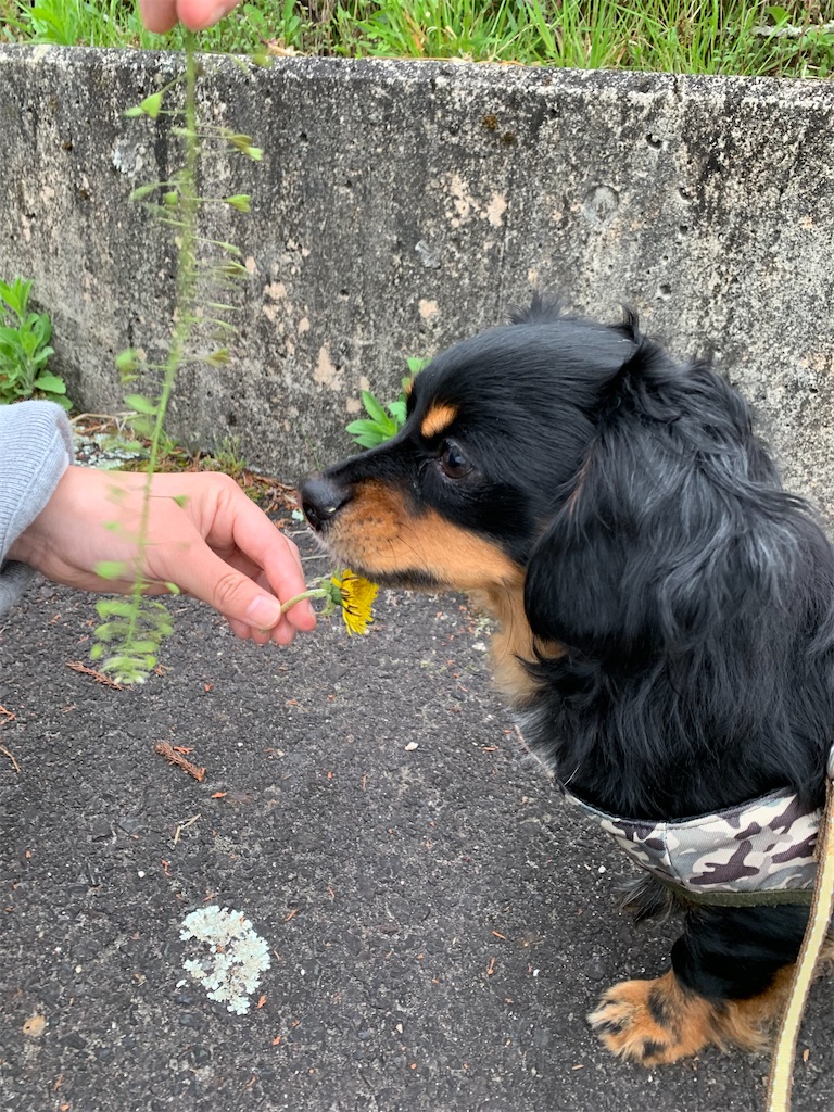 f:id:goukakuigakubu:20220415221611j:image f:id:goukakuigakubu:20220415221611j:image