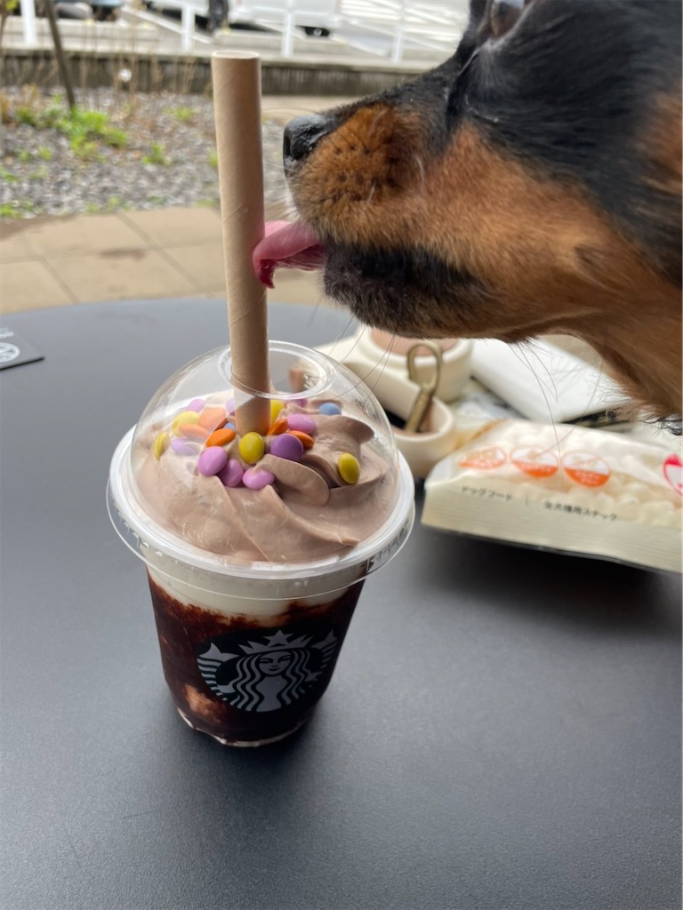 f:id:goukakuigakubu:20220415221616j:image f:id:goukakuigakubu:20220415221616j:image