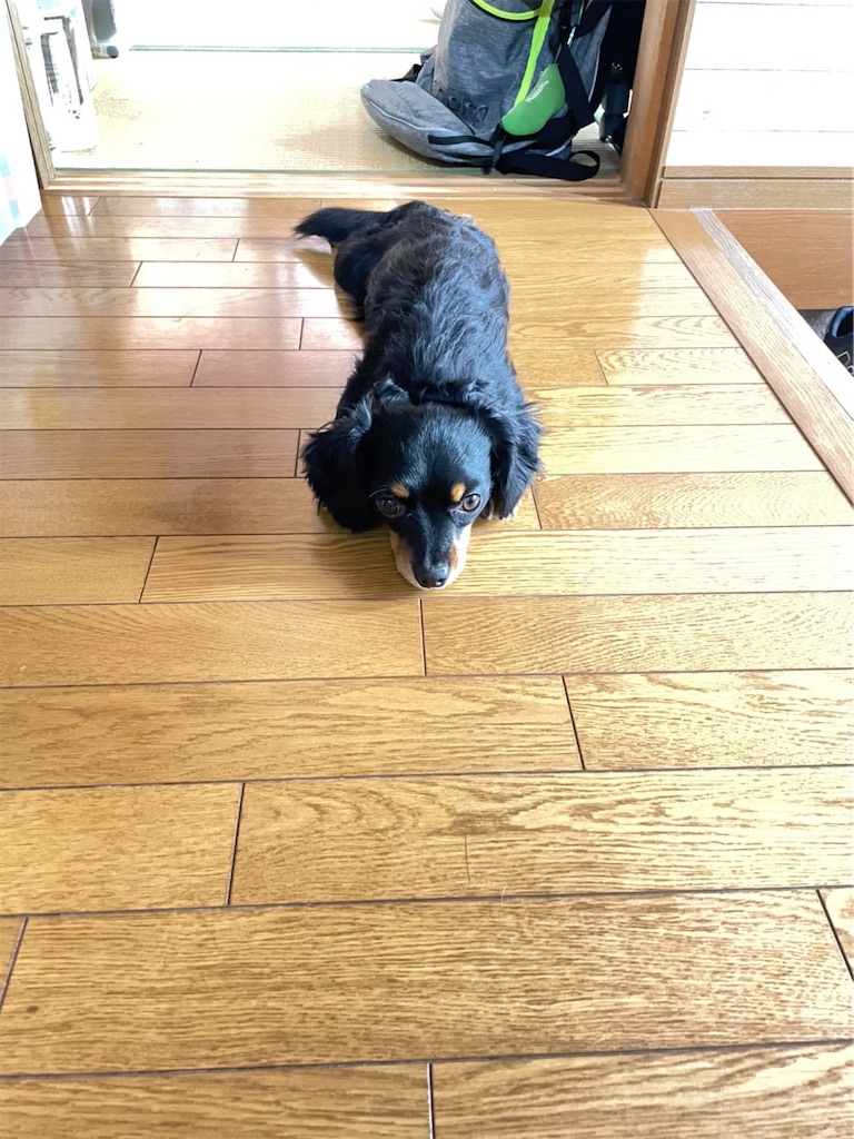 f:id:goukakuigakubu:20220419082147j:image