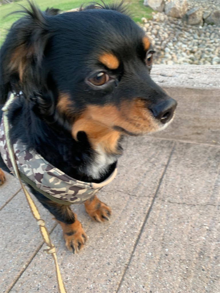 f:id:goukakuigakubu:20220421122157j:image