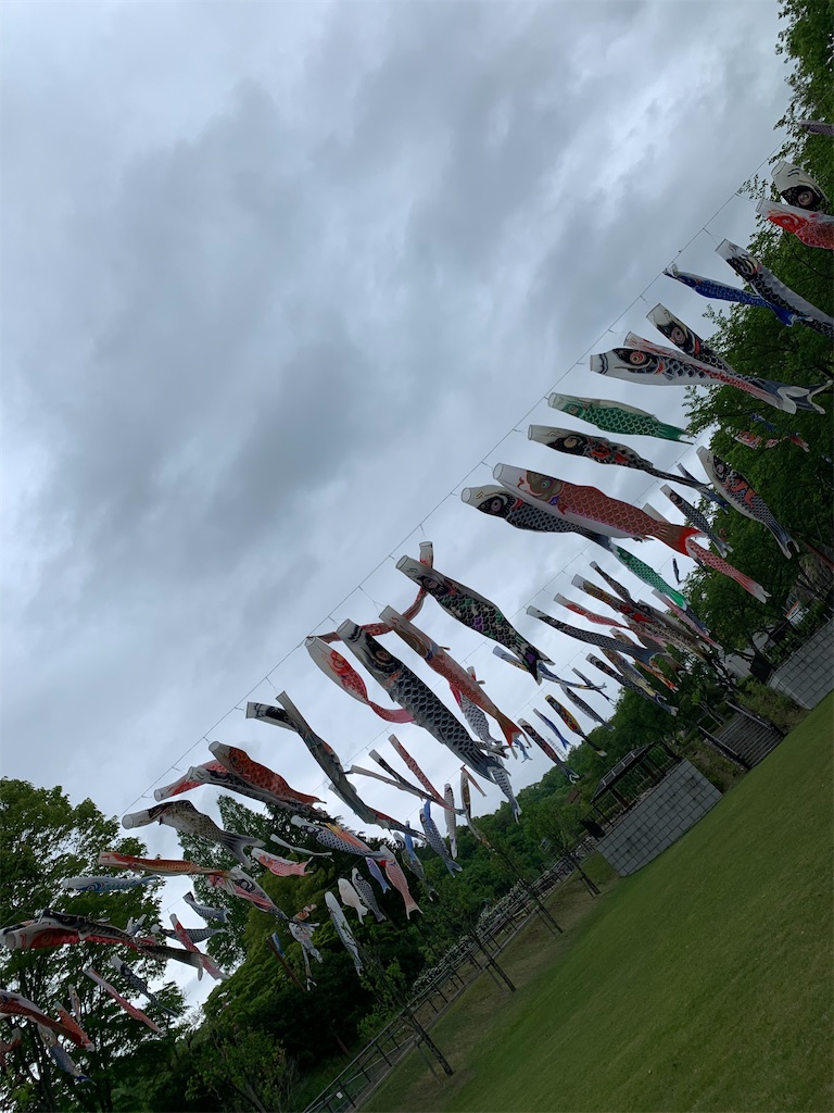 f:id:goukakuigakubu:20220426215758j:image