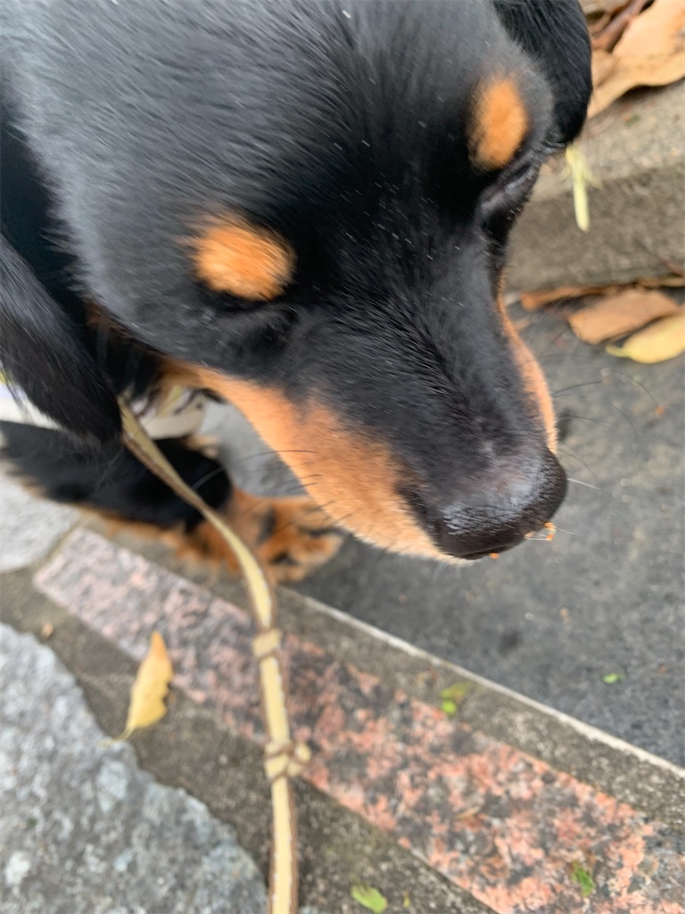 f:id:goukakuigakubu:20220426215917j:image