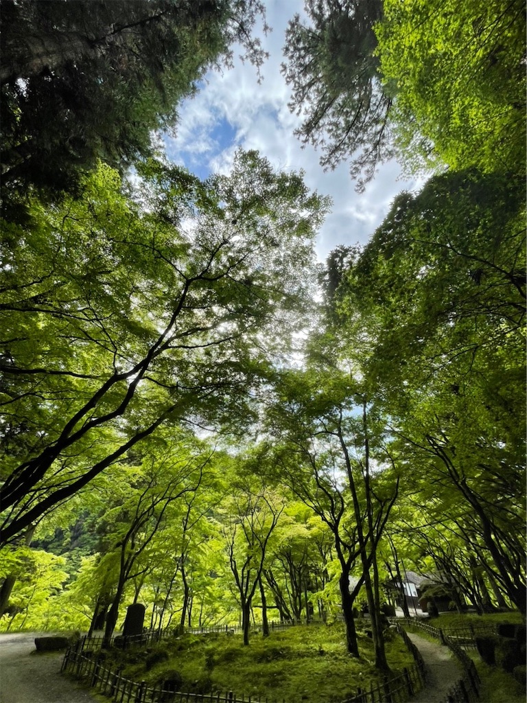 f:id:goukakuigakubu:20220501191220j:image