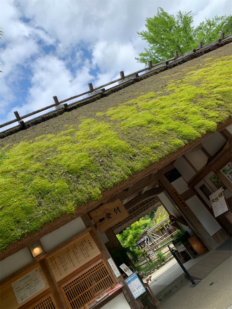 f:id:goukakuigakubu:20220501191229j:image