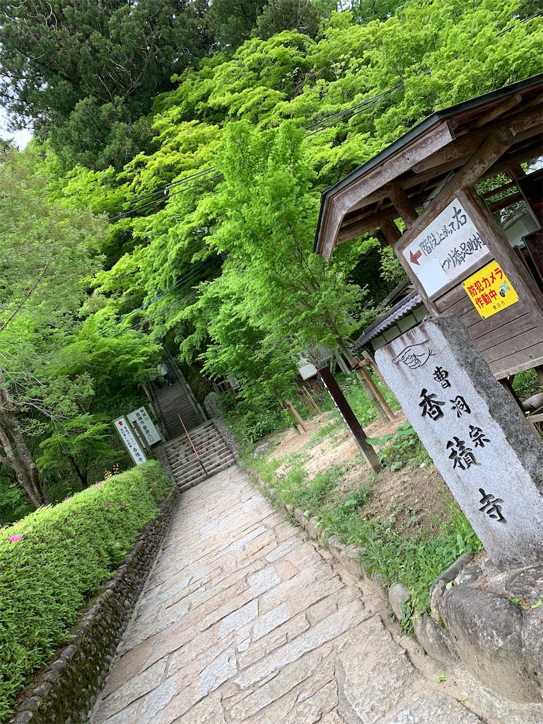 f:id:goukakuigakubu:20220501191232j:image