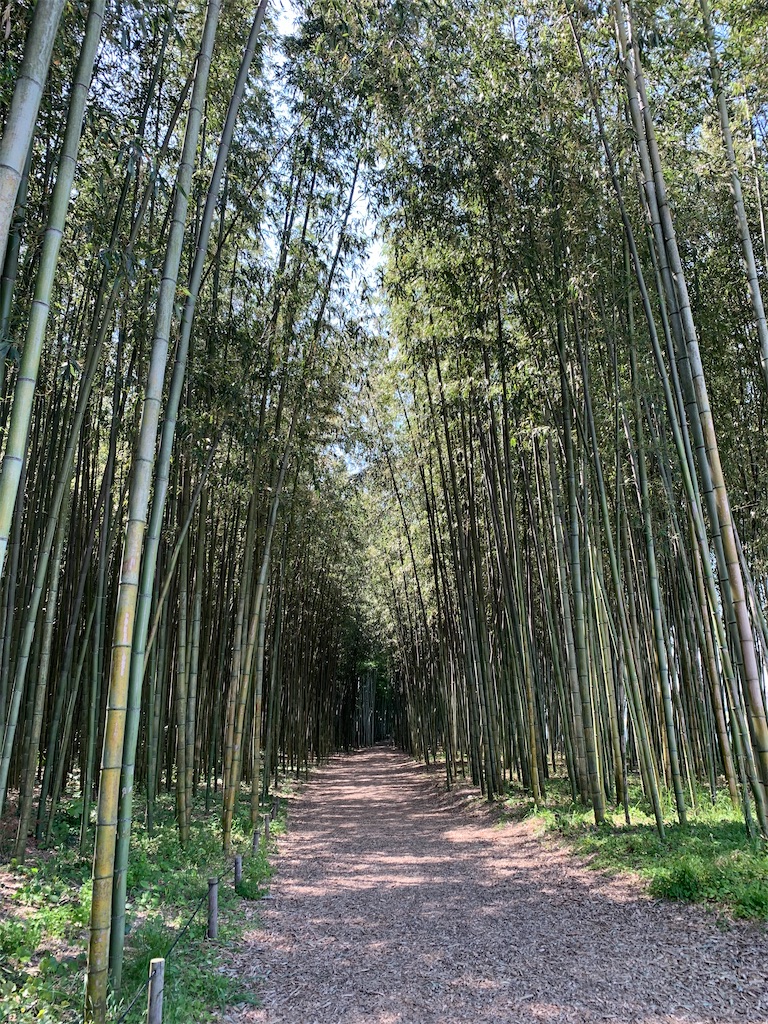 f:id:goukakuigakubu:20220505213155j:image