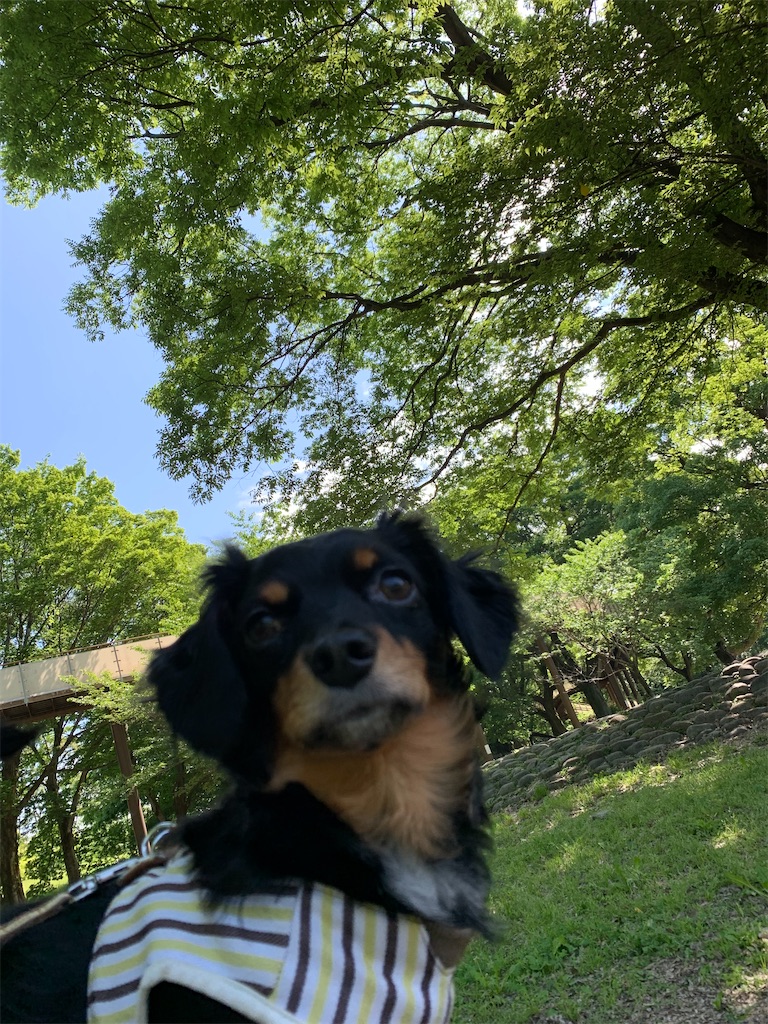 f:id:goukakuigakubu:20220509104924j:image f:id:goukakuigakubu:20220509104924j:image