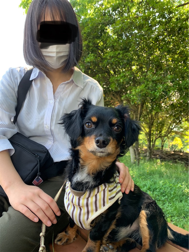f:id:goukakuigakubu:20220509231053j:image