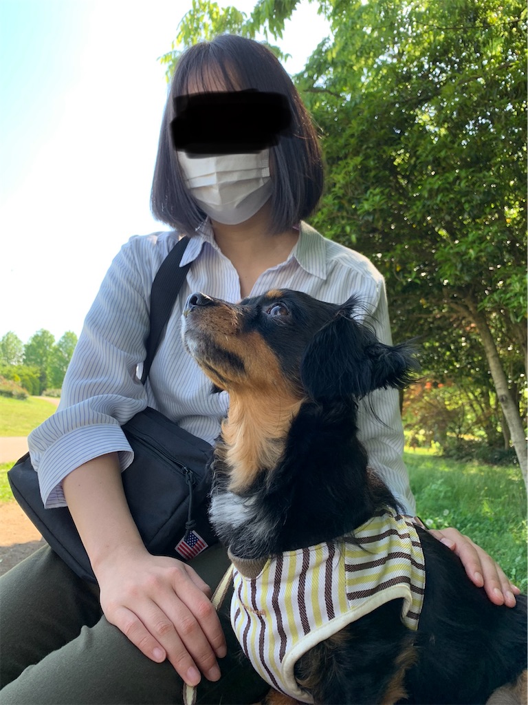 f:id:goukakuigakubu:20220509231056j:image