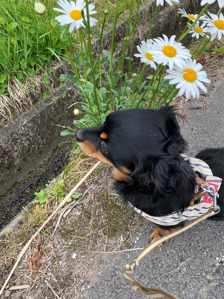 f:id:goukakuigakubu:20220511105936j:image