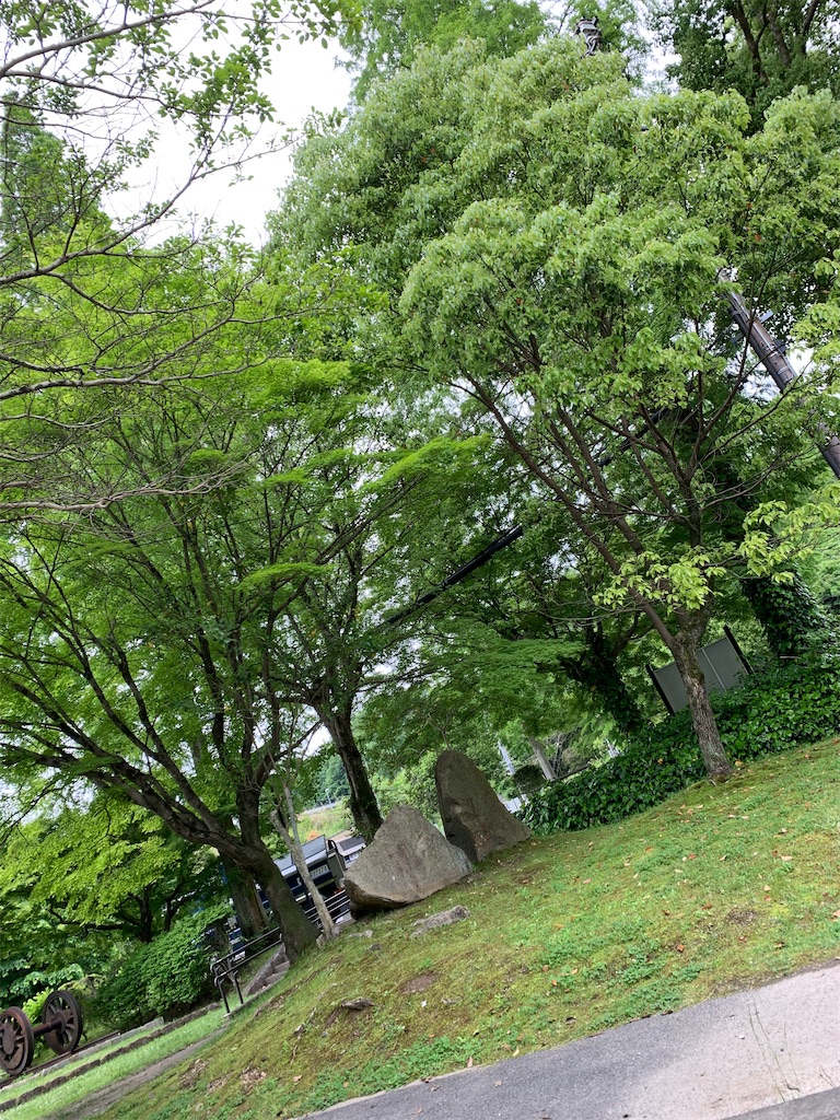 f:id:goukakuigakubu:20220516201015j:image