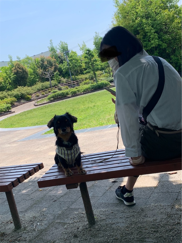 f:id:goukakuigakubu:20220520180636j:image