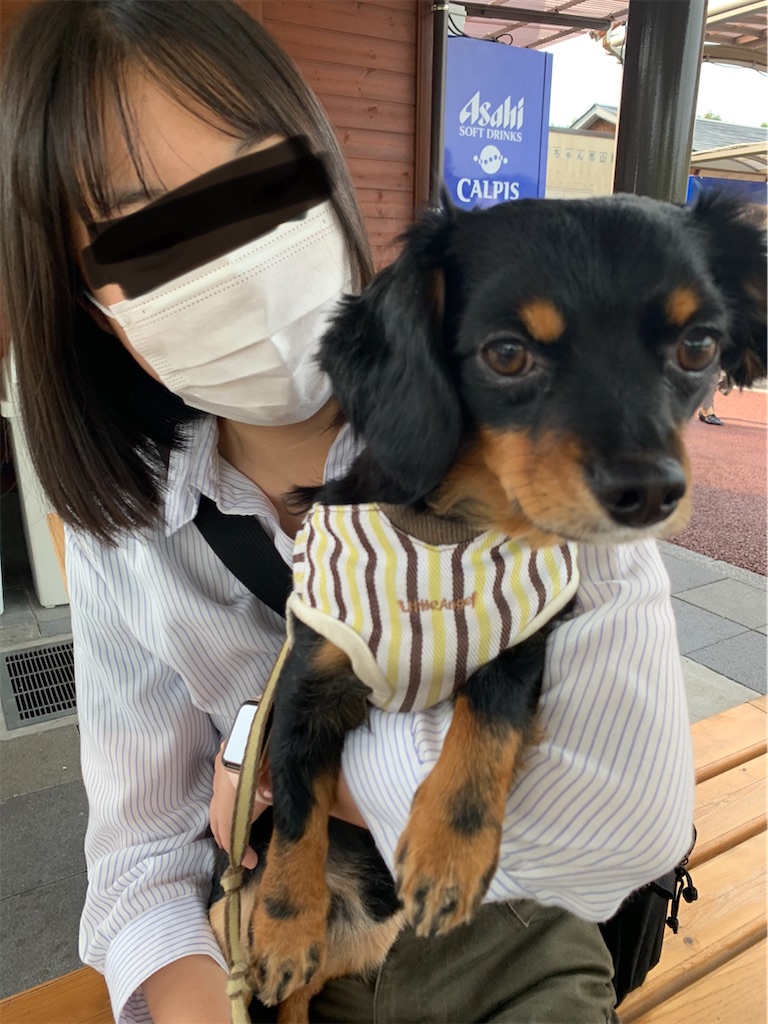 f:id:goukakuigakubu:20220520180653j:image