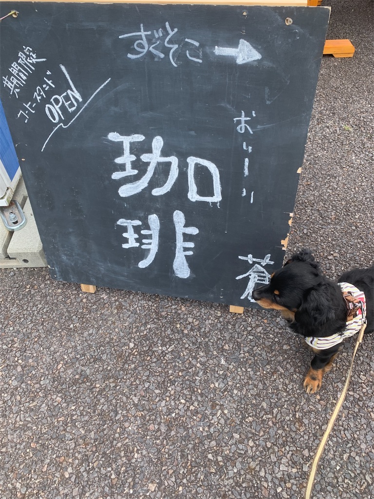 f:id:goukakuigakubu:20220606094939j:image