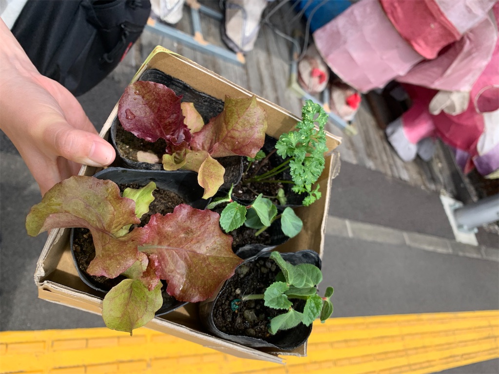 f:id:goukakuigakubu:20220607143445j:image