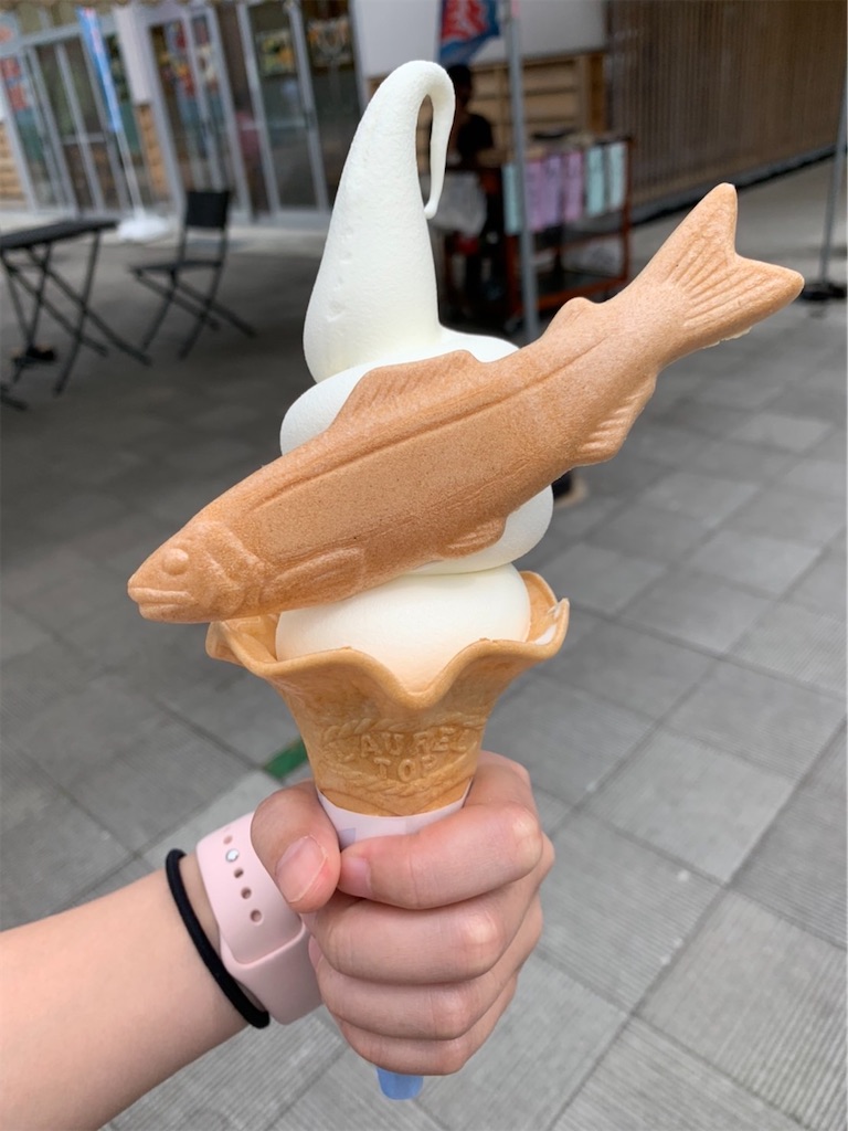 f:id:goukakuigakubu:20220608155504j:image