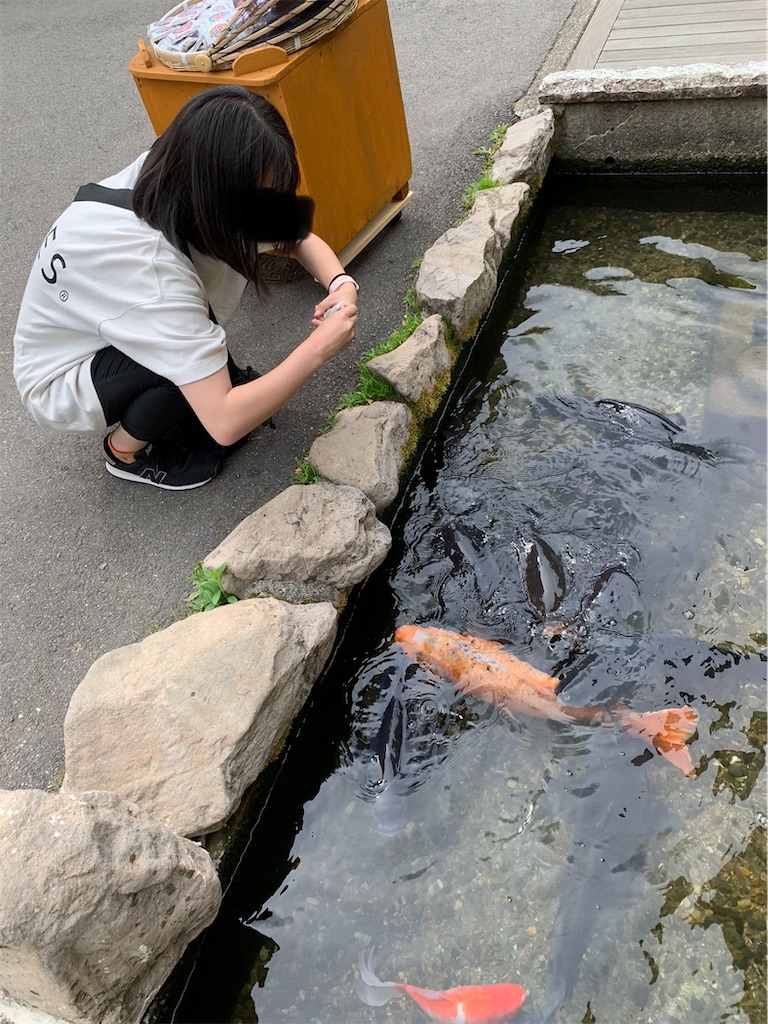 f:id:goukakuigakubu:20220608160524j:image