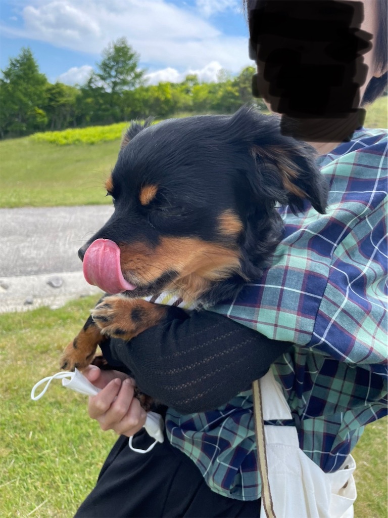 f:id:goukakuigakubu:20220608161357j:image