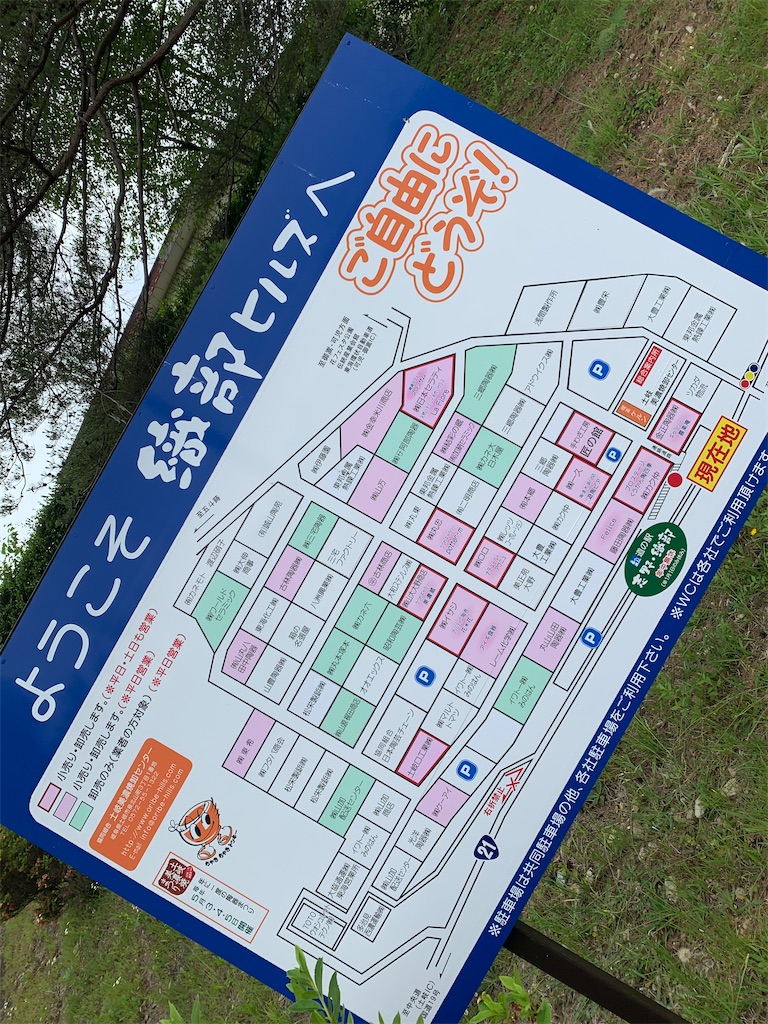 f:id:goukakuigakubu:20220612232956j:image