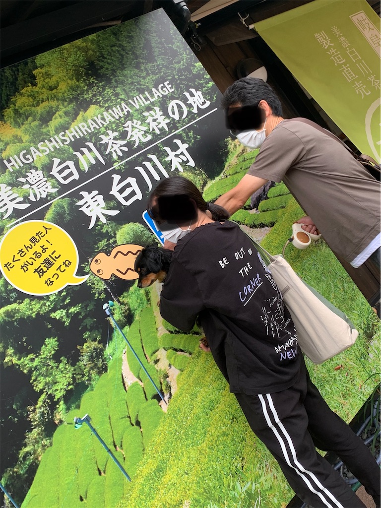 f:id:goukakuigakubu:20220620083923j:image