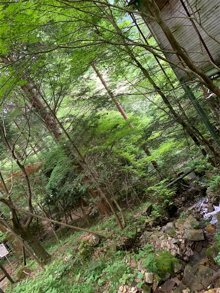 f:id:goukakuigakubu:20220620222308j:image