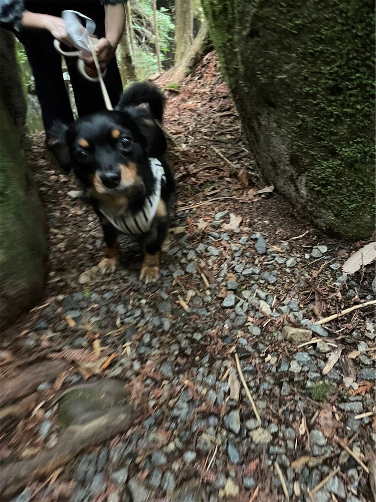 f:id:goukakuigakubu:20220620222857j:image