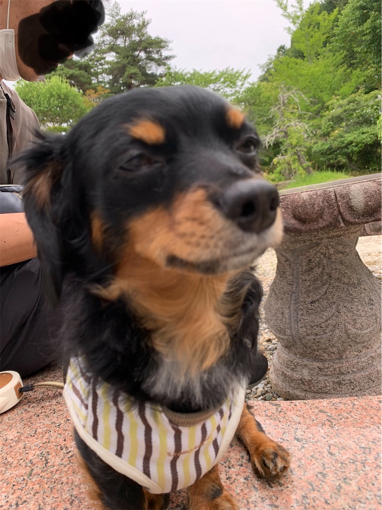 f:id:goukakuigakubu:20220621234304j:image