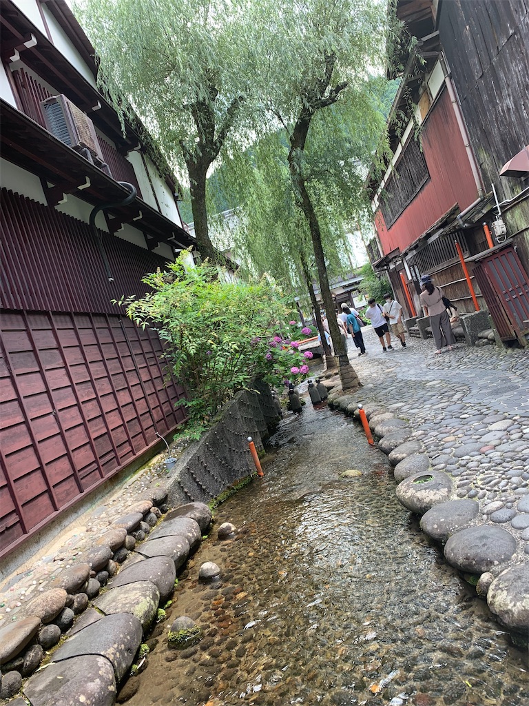 f:id:goukakuigakubu:20220627143206j:image