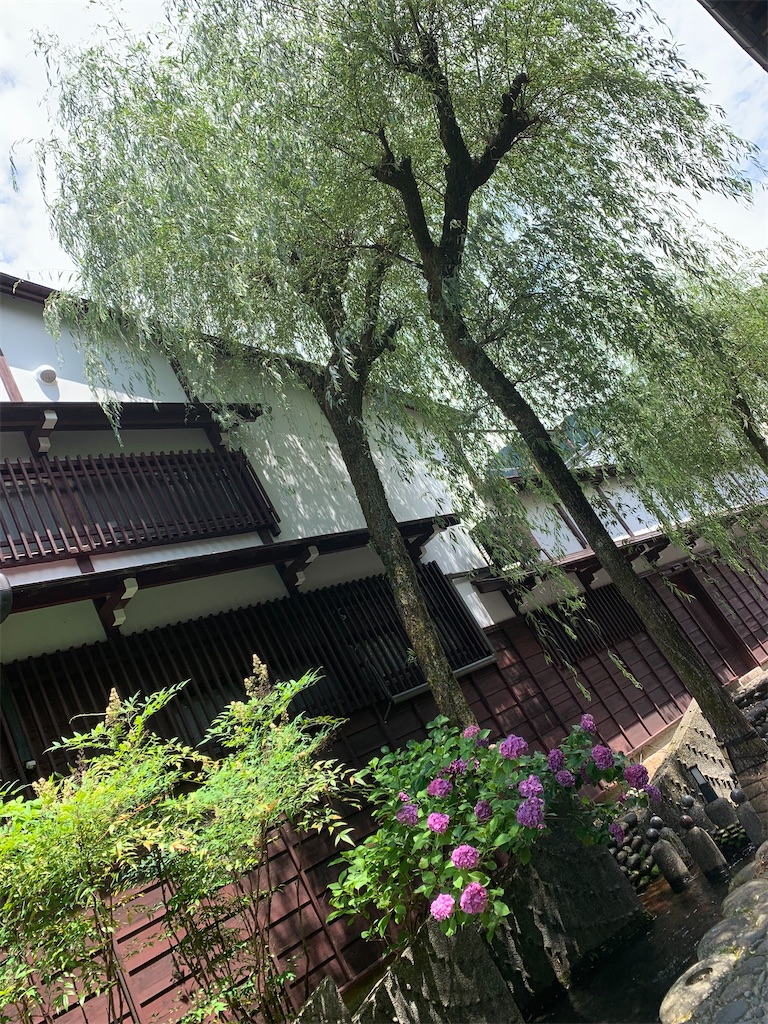 f:id:goukakuigakubu:20220627143209j:image