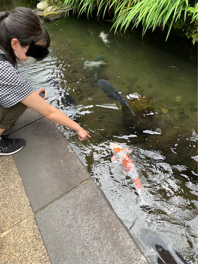 f:id:goukakuigakubu:20220627143623j:image