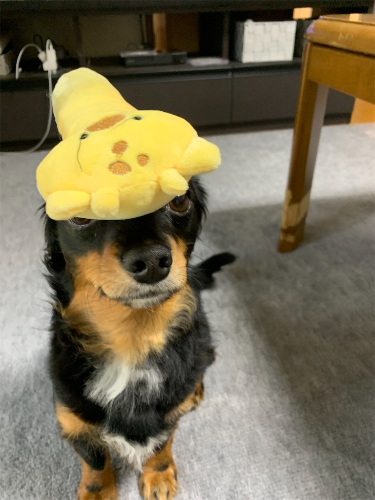 f:id:goukakuigakubu:20220630161243j:image f:id:goukakuigakubu:20220630161243j:image