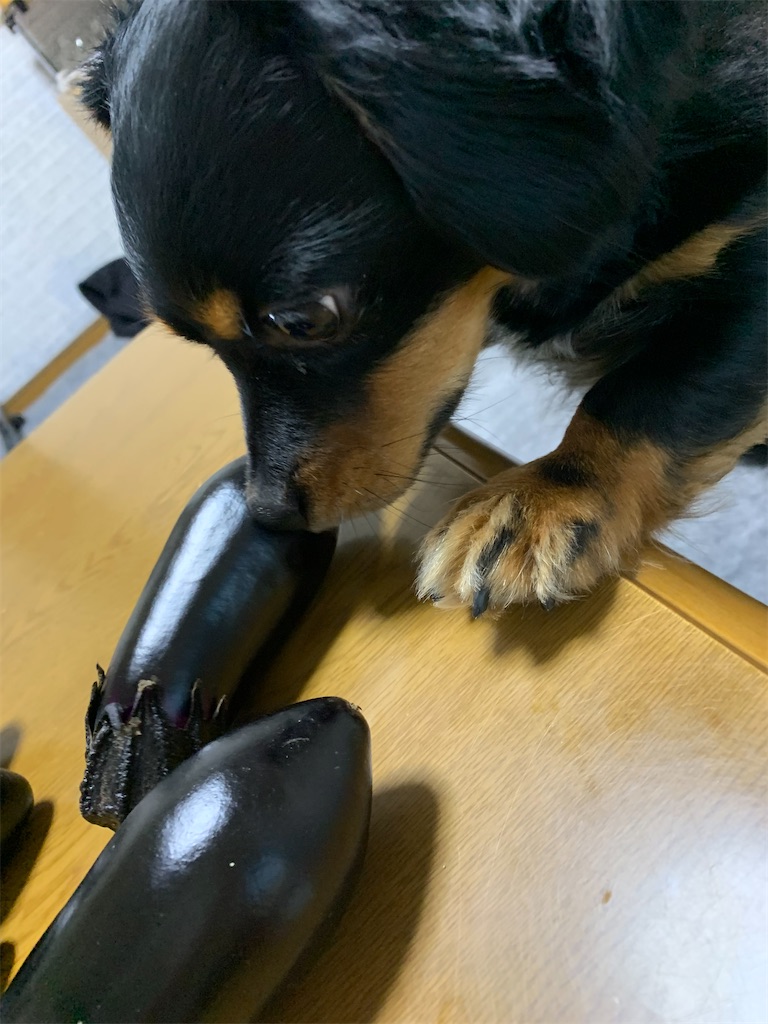f:id:goukakuigakubu:20220701193637j:image