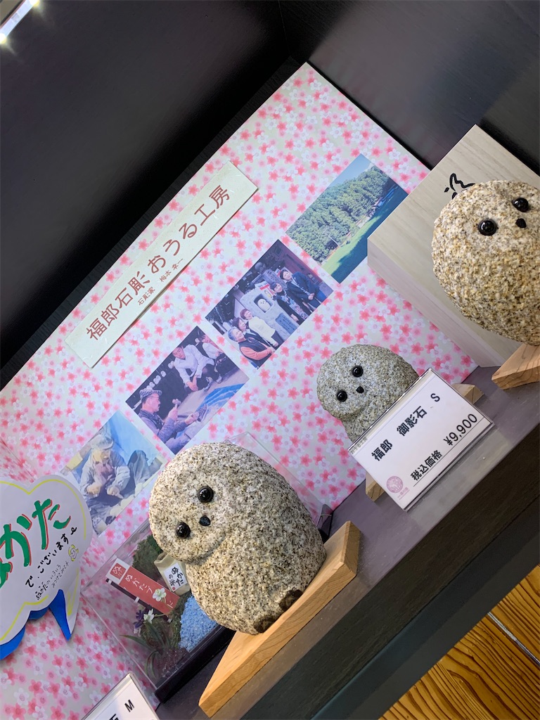 f:id:goukakuigakubu:20220702234546j:image