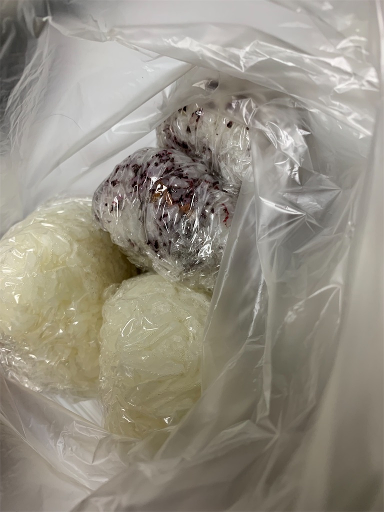f:id:goukakuigakubu:20220704164424j:image