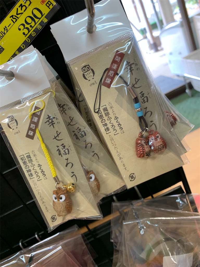 f:id:goukakuigakubu:20220705133603j:image