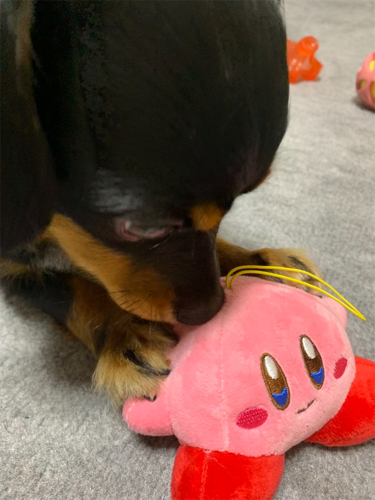 f:id:goukakuigakubu:20220706143210j:image