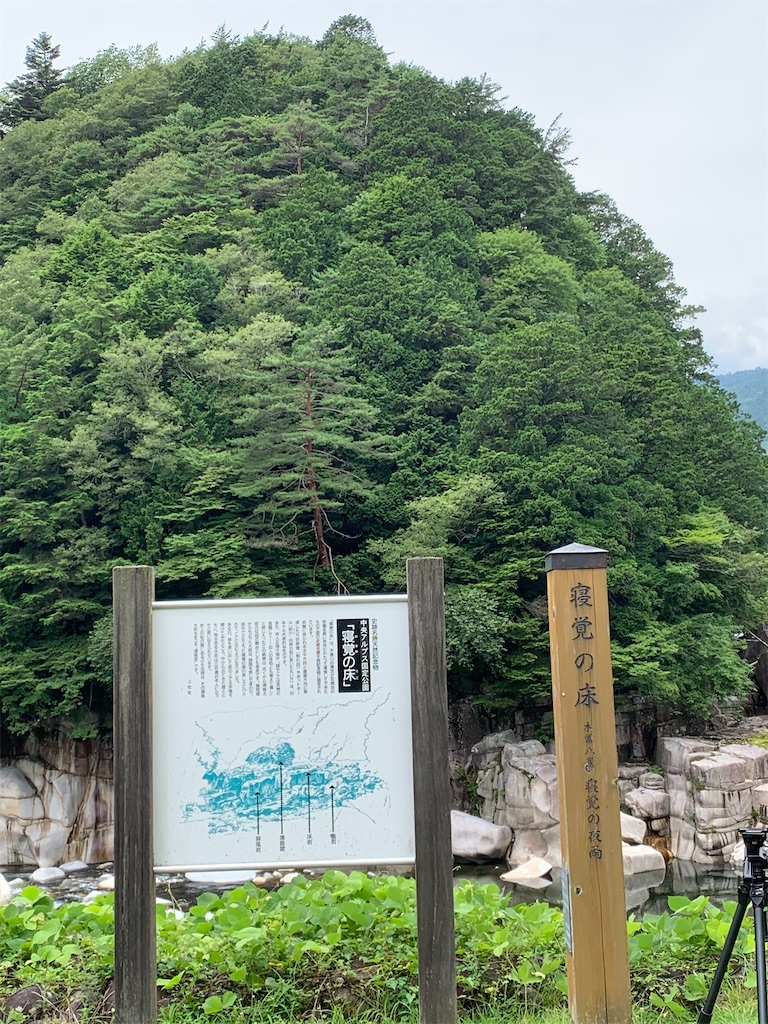 f:id:goukakuigakubu:20220716201257j:image