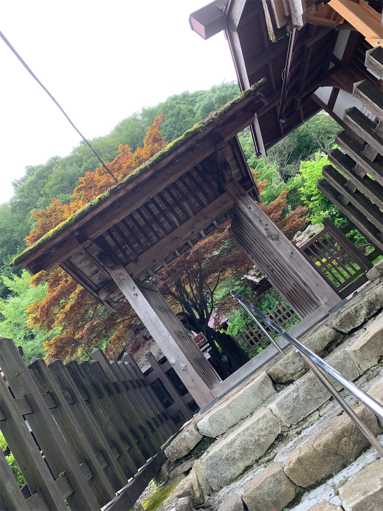 f:id:goukakuigakubu:20220718223748j:image